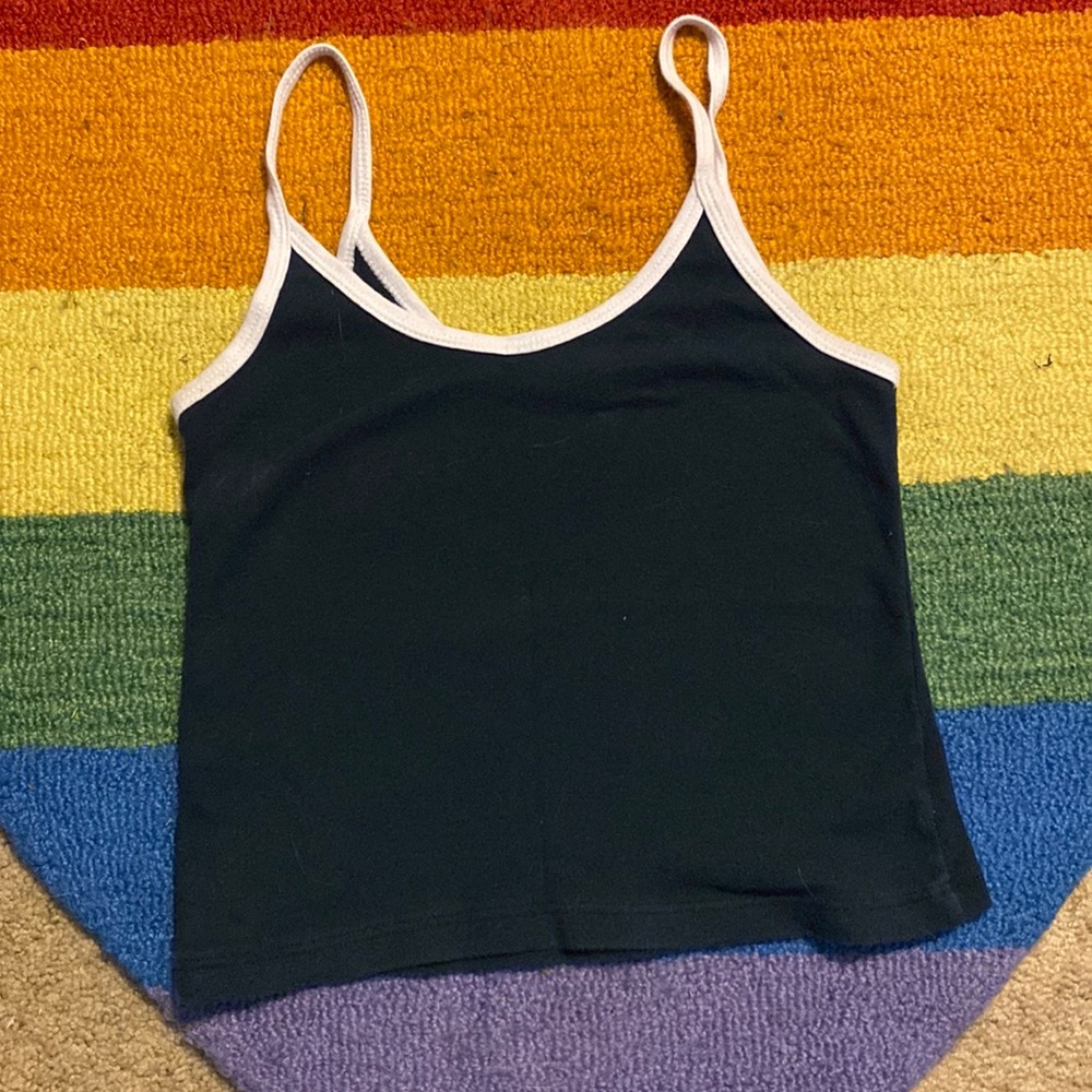 Brandy Melville Crop Top
